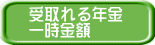 受取れる年金 一時金額